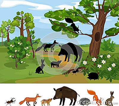 Find the right shade. Educational children matching game with animals living in grove and park. Ecosystem of forest. Vector Illustration
